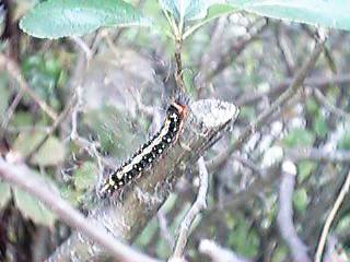 �����S�P������