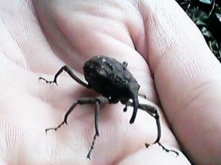 �����@���g���[�h�}�[�N