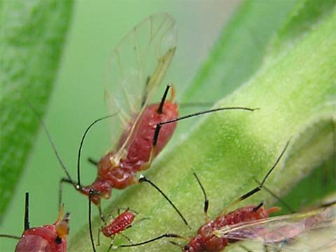 �Z�C�^�J�A���_�`�\�E�q�Q�i�K�A�u�����V