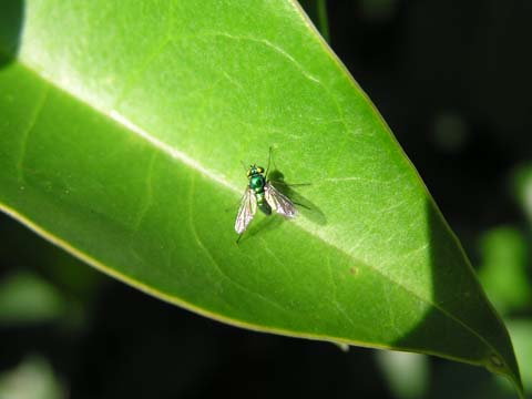 �A�V�i�K�L���o�G�́�