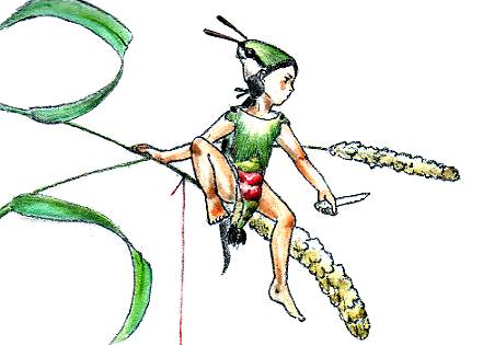 �퐢�͂ǂ����H