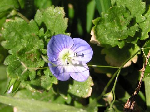 �I�I�C�k�m�t�O��