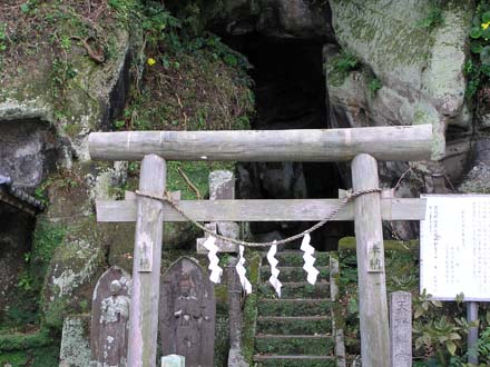 �q�J���������n