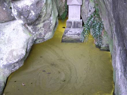 �q�J����������