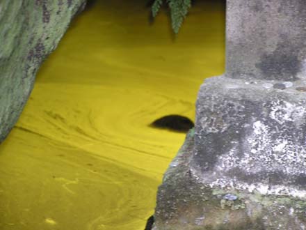 �q�J����������