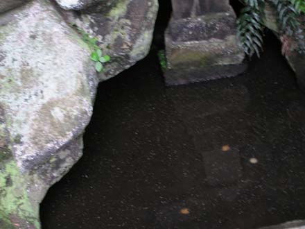 �H�̌��������n