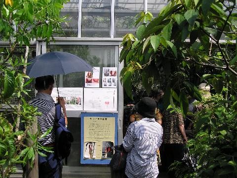 ���ΐ�A�����̉���