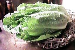 �܂邭�Ȃ�Ȃ����^�X