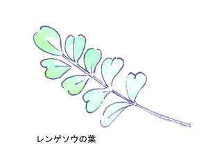 �����Q�\�E�̗t