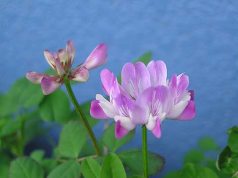 �����Q�\�E