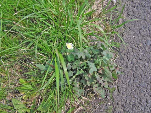 �n���m�m�Q�V�c�c�H�H