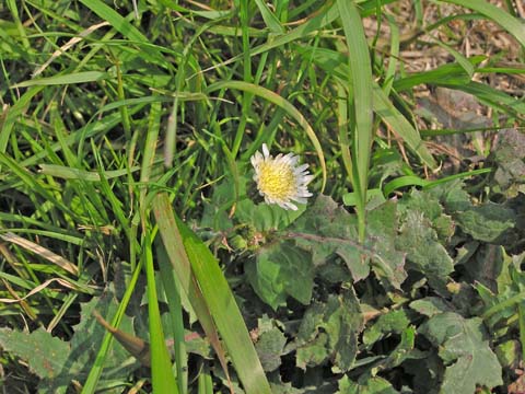 �߂Â��Ă݂�Ɓc�c����ς蔒�����