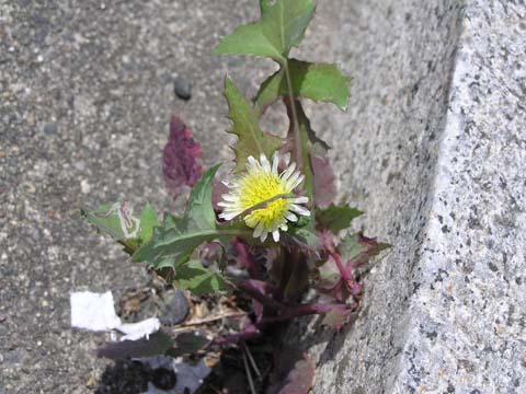 �����n���m�m�Q�V