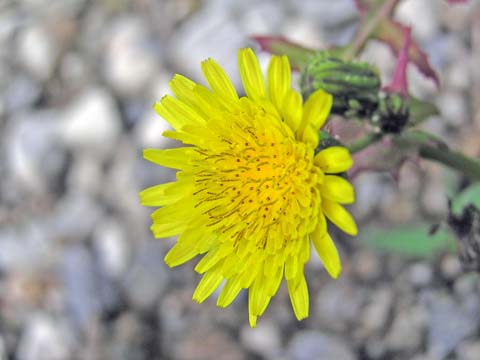 �n���m�m�Q�V