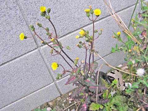 �I�j�m�Q�V