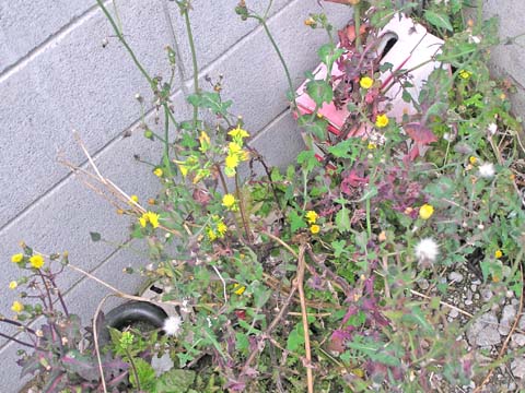 �I�j�m�Q�V