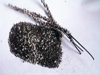 �I�I�o�R�̎�