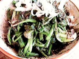 �ق���񑐂̃I�I�o�R�a��