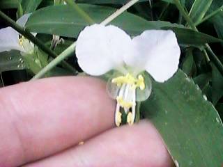 �����c���N�T