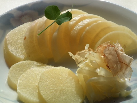 �V���Y�E���R�F��������E������