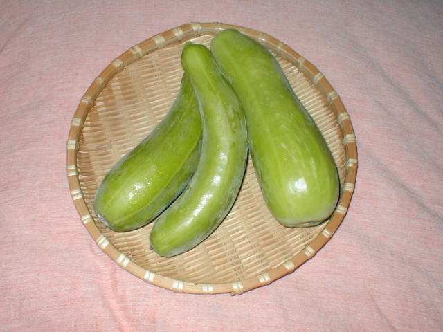 �V���E��