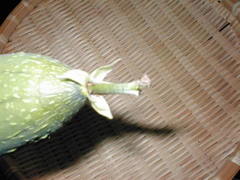 �����ׂ̐�