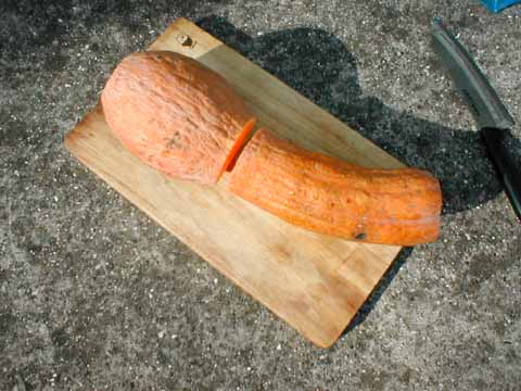 �o�^�[�i�b�g�X�N���b�V��