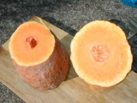 �o�^�[�i�b�g�X�N���b�V���i���f�ʁj