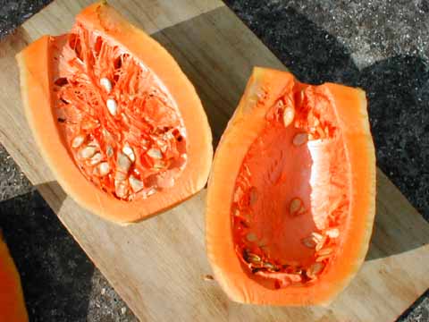 �o�^�[�i�b�g�X�N���b�V���i���������̏c�f�ʁj