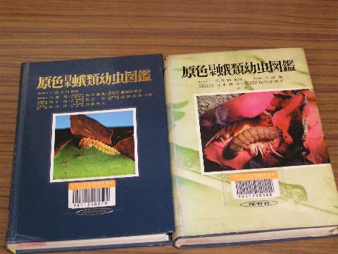 ���F���{��ޗc���}�Ӂi�\���j