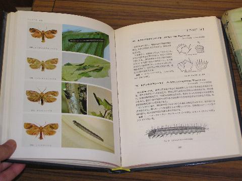 ���F���{��ޗc���}�Ӂi�{���C���[�W�j