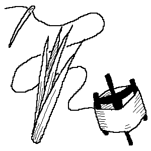 �������ƏҊ�