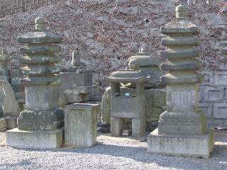 �Y�����q�̋��{��