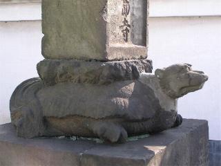 �����̋T