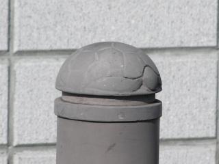 �������T����