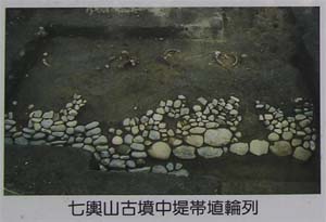 ���`�R�Õ�����я��֗�