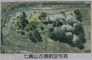 ���`�R�q��ʐ^