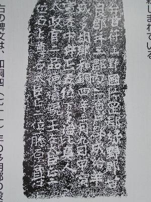 ���Ӕ�̑�{