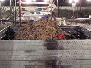 ��N���̋F������߂���̎R