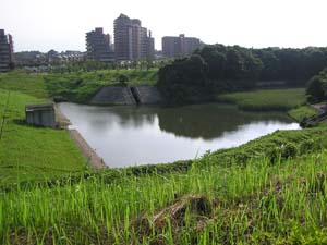 ���ނ���r