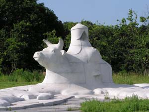 �����P�Ƌ��̑�