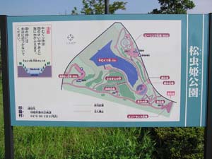 �����P����