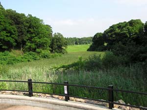 ���ނ���r