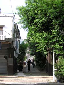 �����ϋ��{�ʂ�