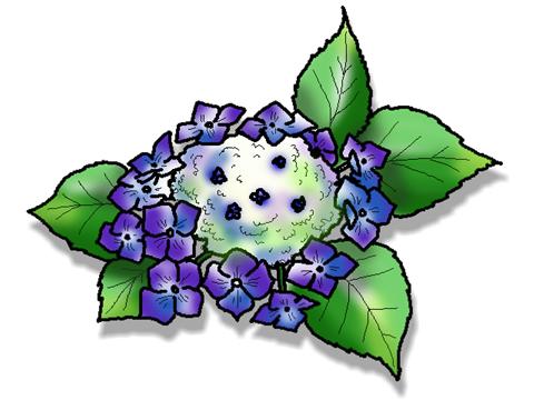 �K�N�A�W�T�C