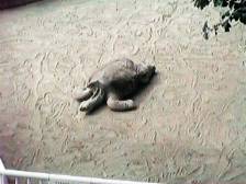 ����]�E�K��