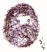 �n���l�Y�~