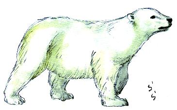 �z�b�L���N�O�}