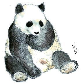 �W���C�A���g�p���_