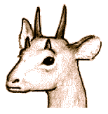 ���c�d�m���C���E�̊p